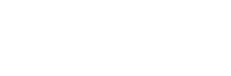 Kong Logo - Brand Assets