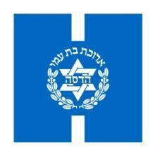 Hadassah Logo - Hadassah Speaks | WNYC | New York Public Radio, Podcasts, Live ...