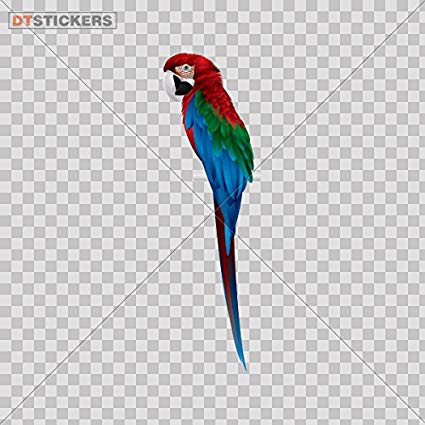 Parrott Logo - Amazon.com: Vinyl Stickers Decal Macao Parrot Logo For Helmet ...