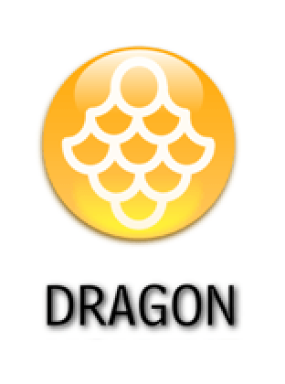 Dragon-type Logo - Dragon Type. Sonic Pokémon Uni Pedia