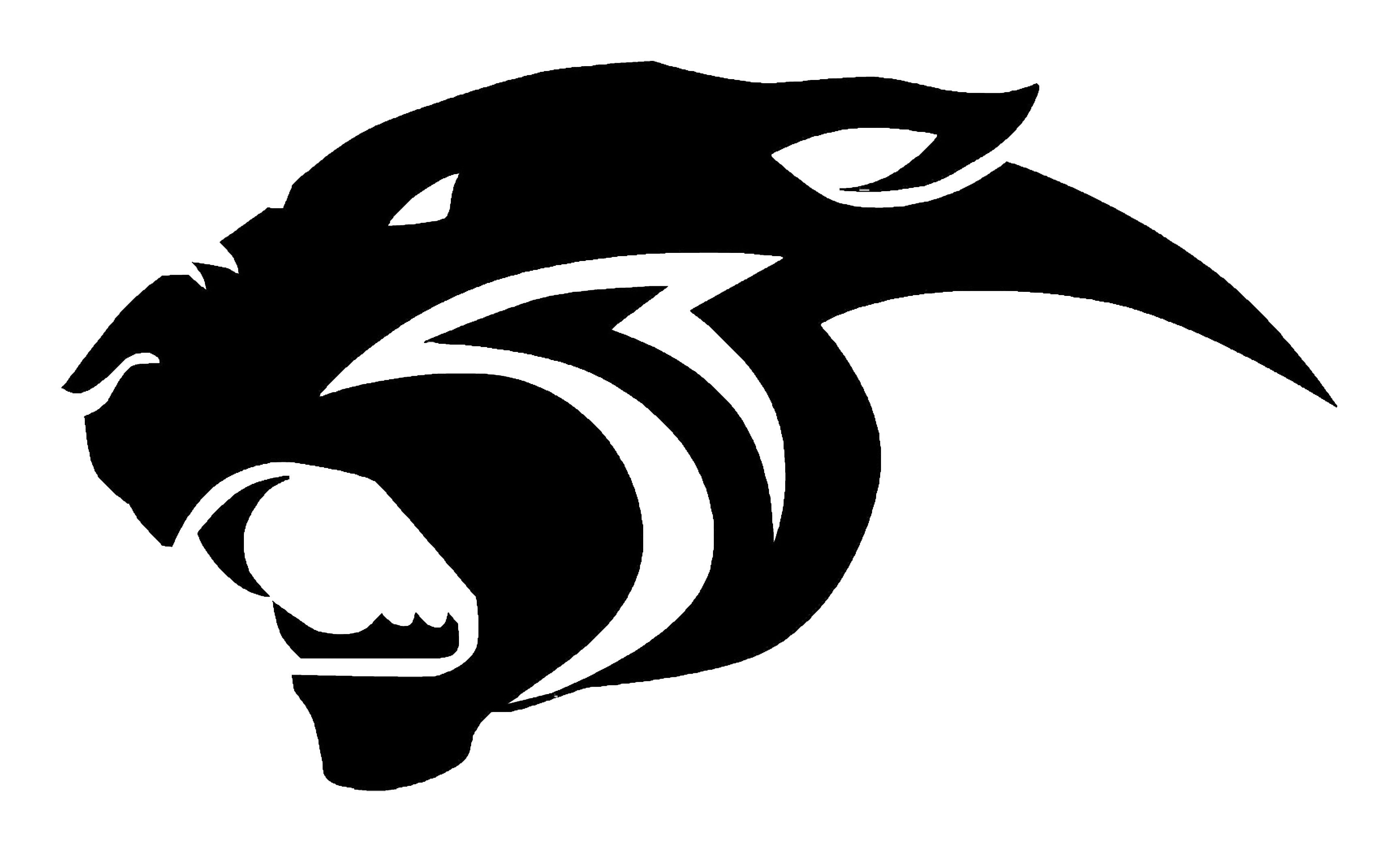 NPHS Logo - Newbury Park - Team Home Newbury Park Panthers Sports