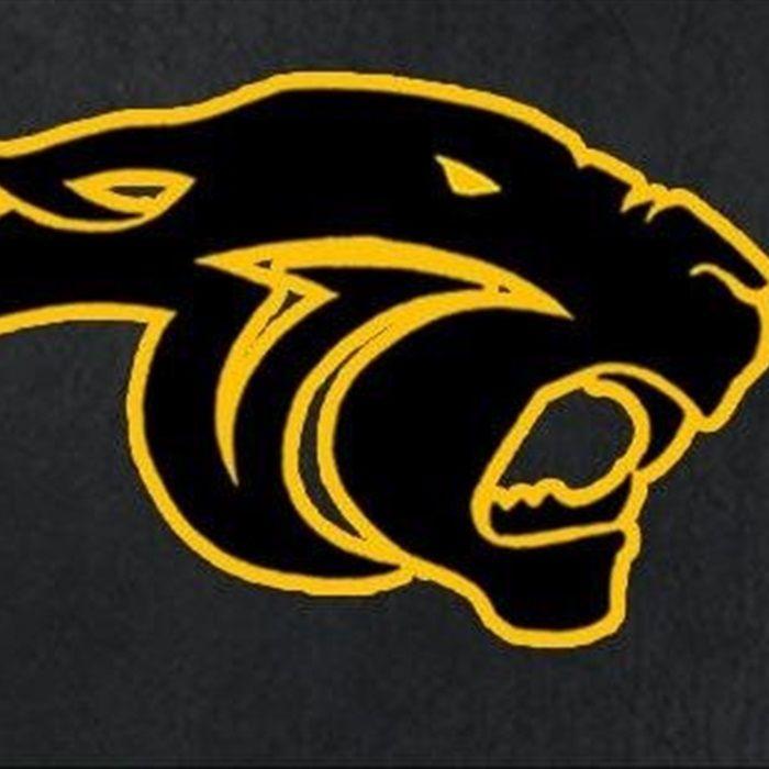NPHS Logo - Varsity Football Park High School Park