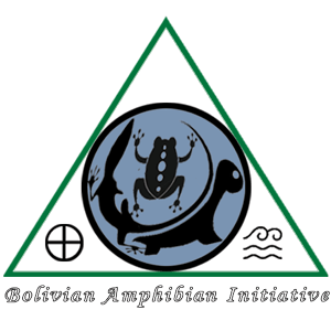 Bolivian Logo - Bolivian Amphibian Initiative - Amphibian Initiative