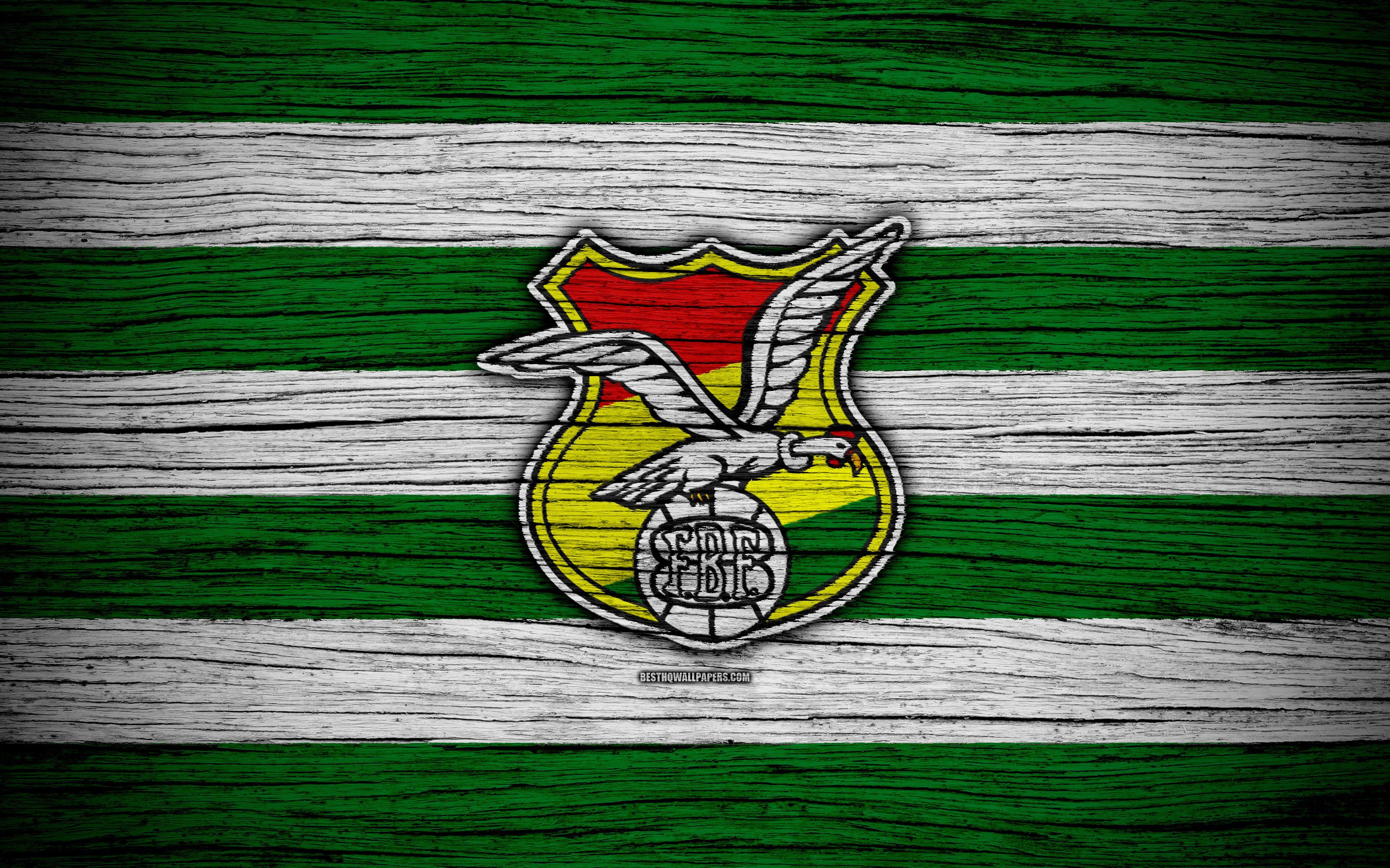Bolivian Logo - Download wallpaper 4k, Bolivia national football team, logo, North