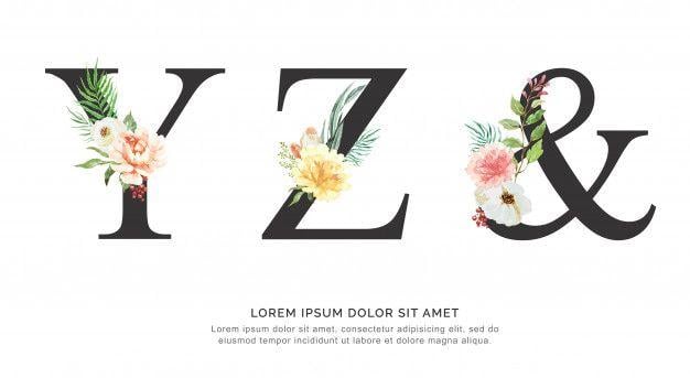 Yz Logo - Alphabet y z & flower and leaves watercolor. Vector