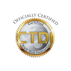 Ctdi Logo - ctdi — Sit Happens