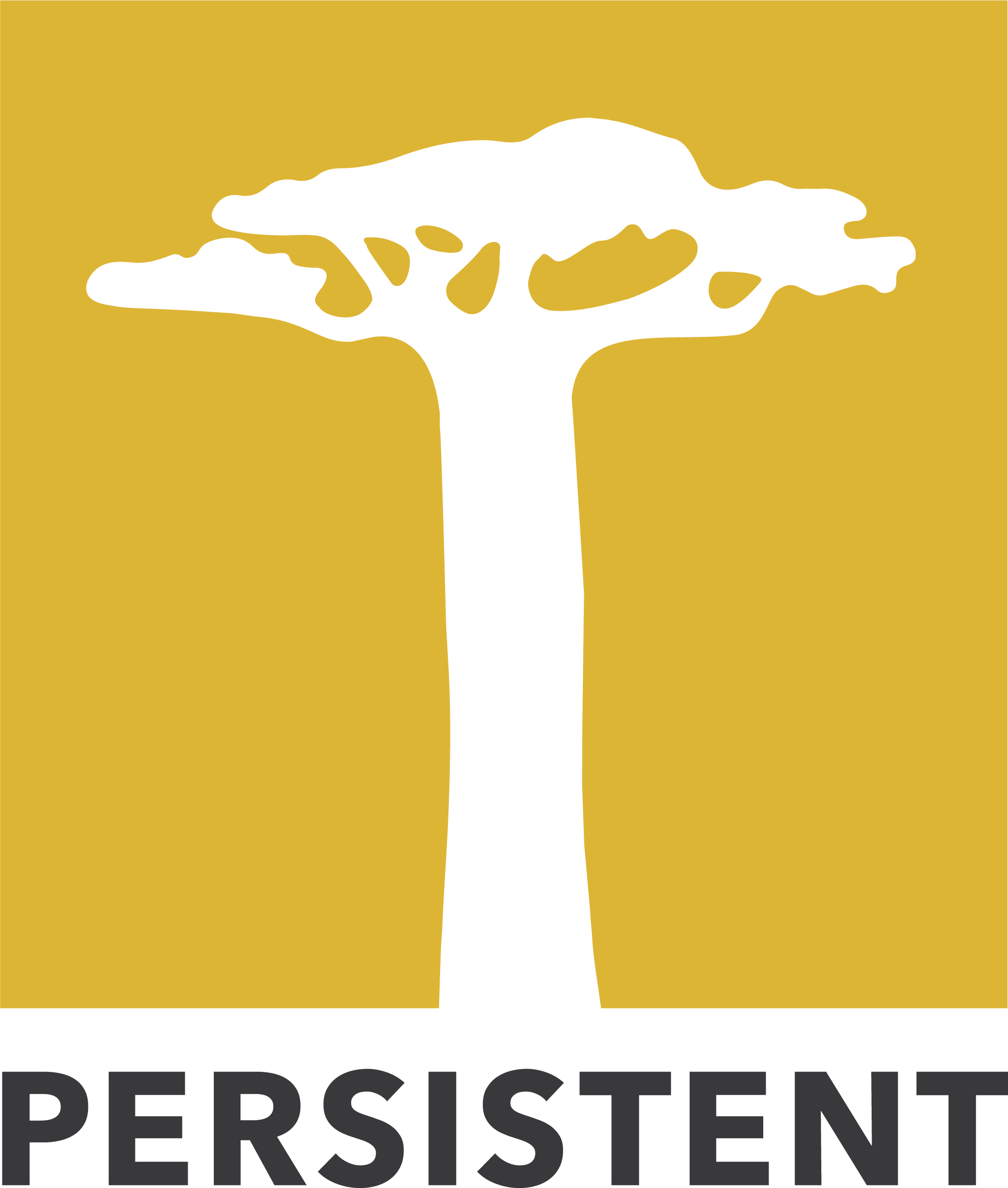 Persistent Logo - Persistent - Bamboo Capital Partners