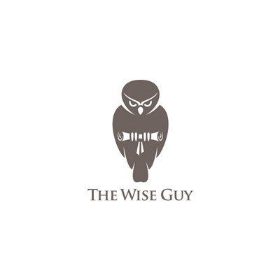 Wise Logo - The Wise Guy Logo | Logo Design Gallery Inspiration | LogoMix