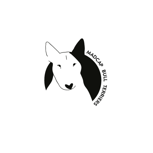 Terrier Logo - Bull Terriers are CLASSIC, BOLD and FUN and our logo has to be, too ...