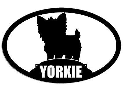 Terrier Logo - Amazon.com: MAGNET Oval YORKIE Silhouette Dog Breed Magnetic Sticker ...