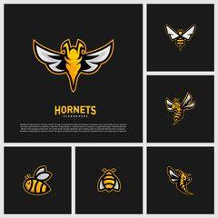 Hornet Logo - Hornet Logo Photo, Royalty Free Image, Graphics, Vectors & Videos