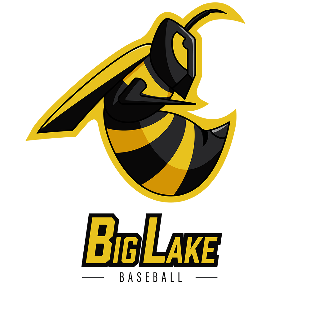 Hornet Logo - Big Lake Baseball Hornet Logo