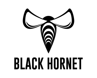 Hornet Logo - BLACK HORNET Designed