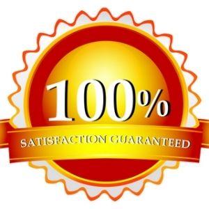 100 Logo - 100% Satisfaction Guaranteed Logo