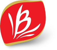 Bauducco Logo - Site oficial da Bauducco, Produtos, História e Lojas l Bauducco