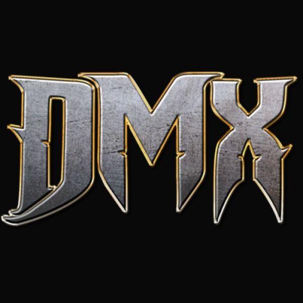 DMX Logo - DMX LOGO Unisex Hoodie | Kidozi.com