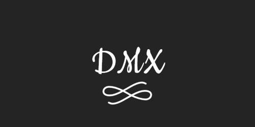DMX Logo - DMX