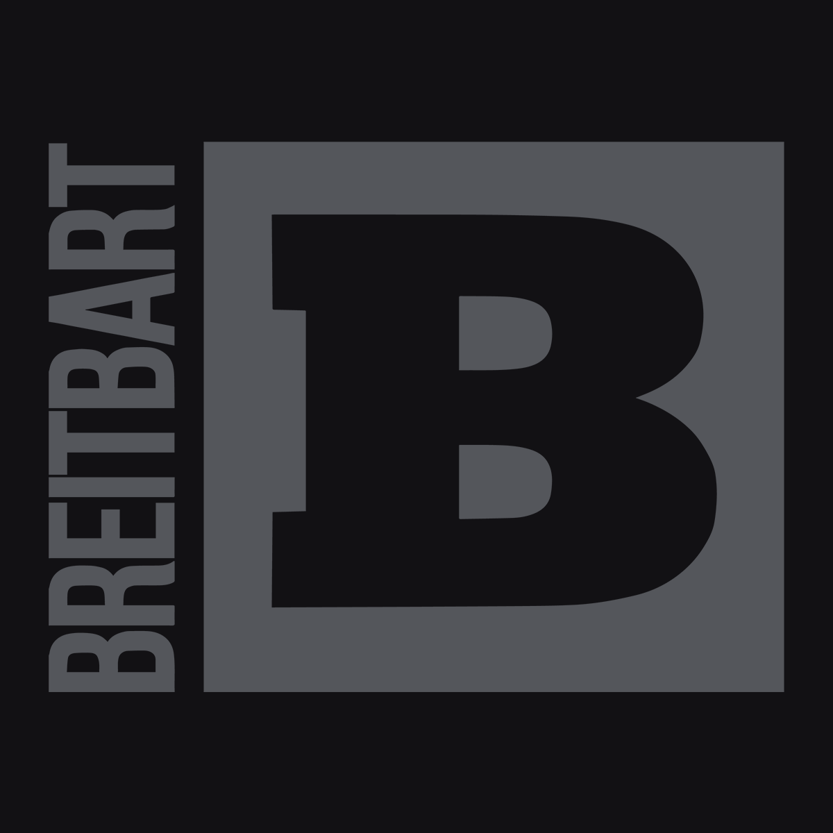 Breitbart Logo - Official Breitbart Logo Women's T-Shirt - Black