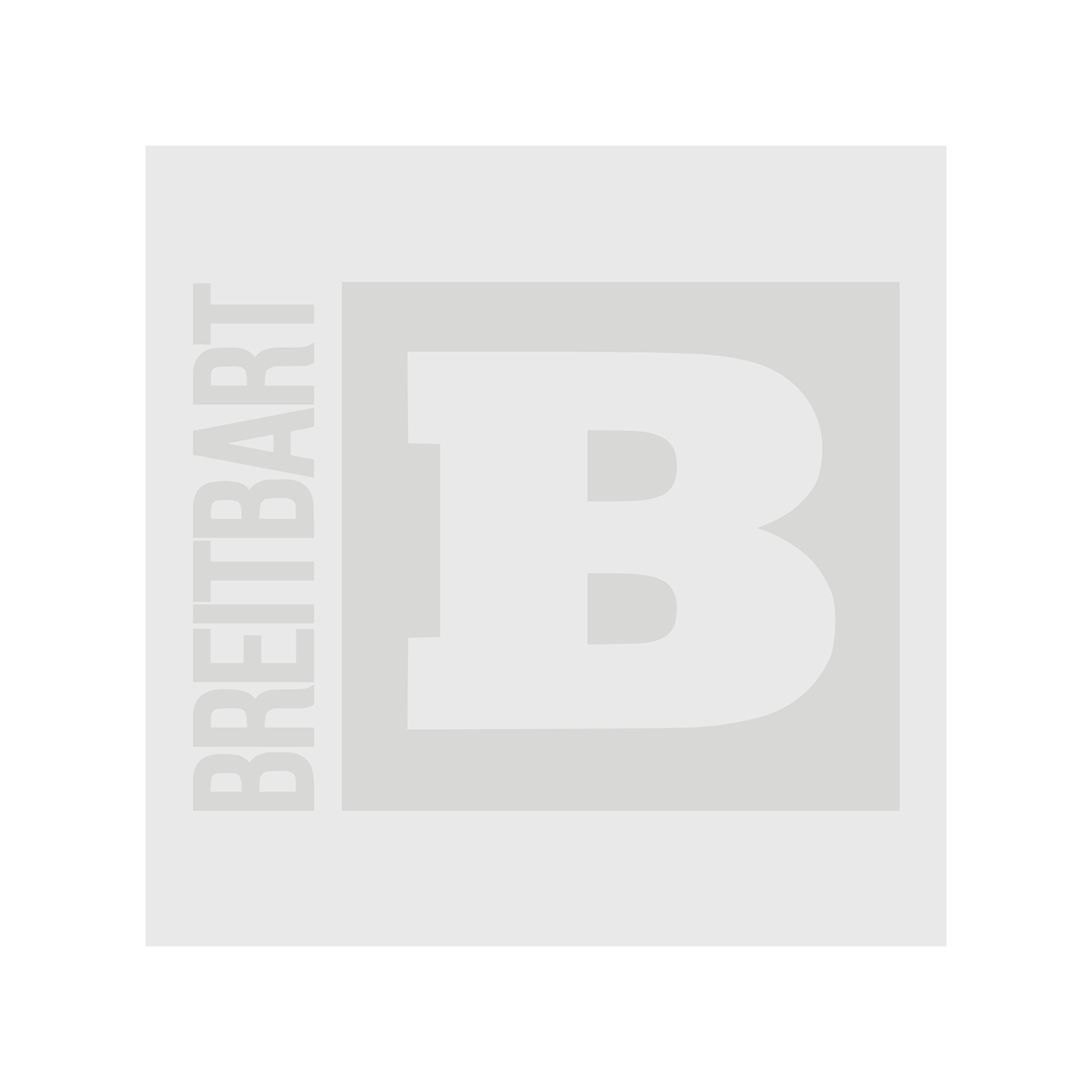 Breitbart Logo - Breitbart Logo Women’s T-Shirt - White