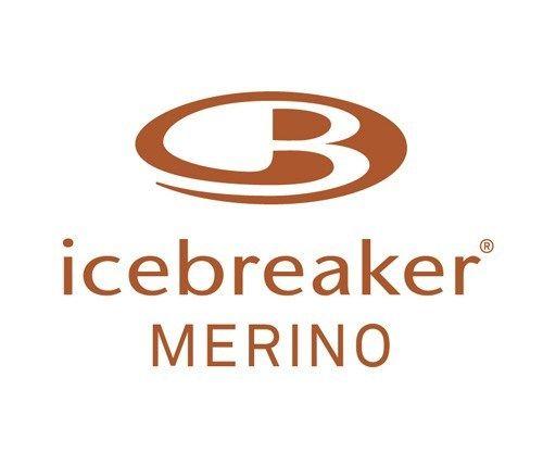 Icebreaker Logo - Icebreaker logo – Harcourts Events