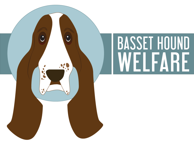 Basset Logo - Basset Hound Welfare Concept Logo by Caroline Wilkinson, Oogly