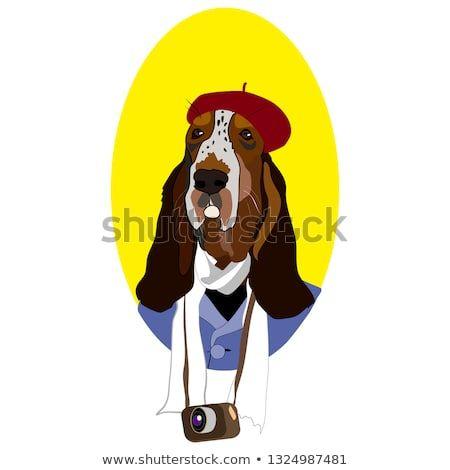 Basset Logo - Dog in suit with photo camera, basset hound dog, photographer logo