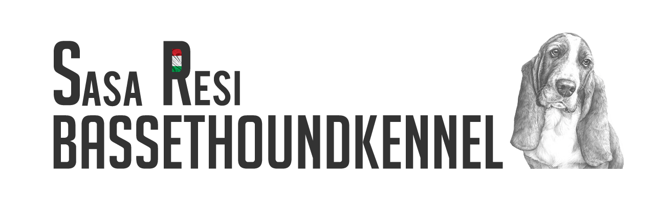 Basset Logo - SaSa-ReSi-BassetHoundKennel – Basset Hounds Bred with love!