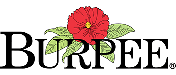 Burpee Logo - Burpee