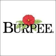 Burpee Logo - Working at Burpee & Co