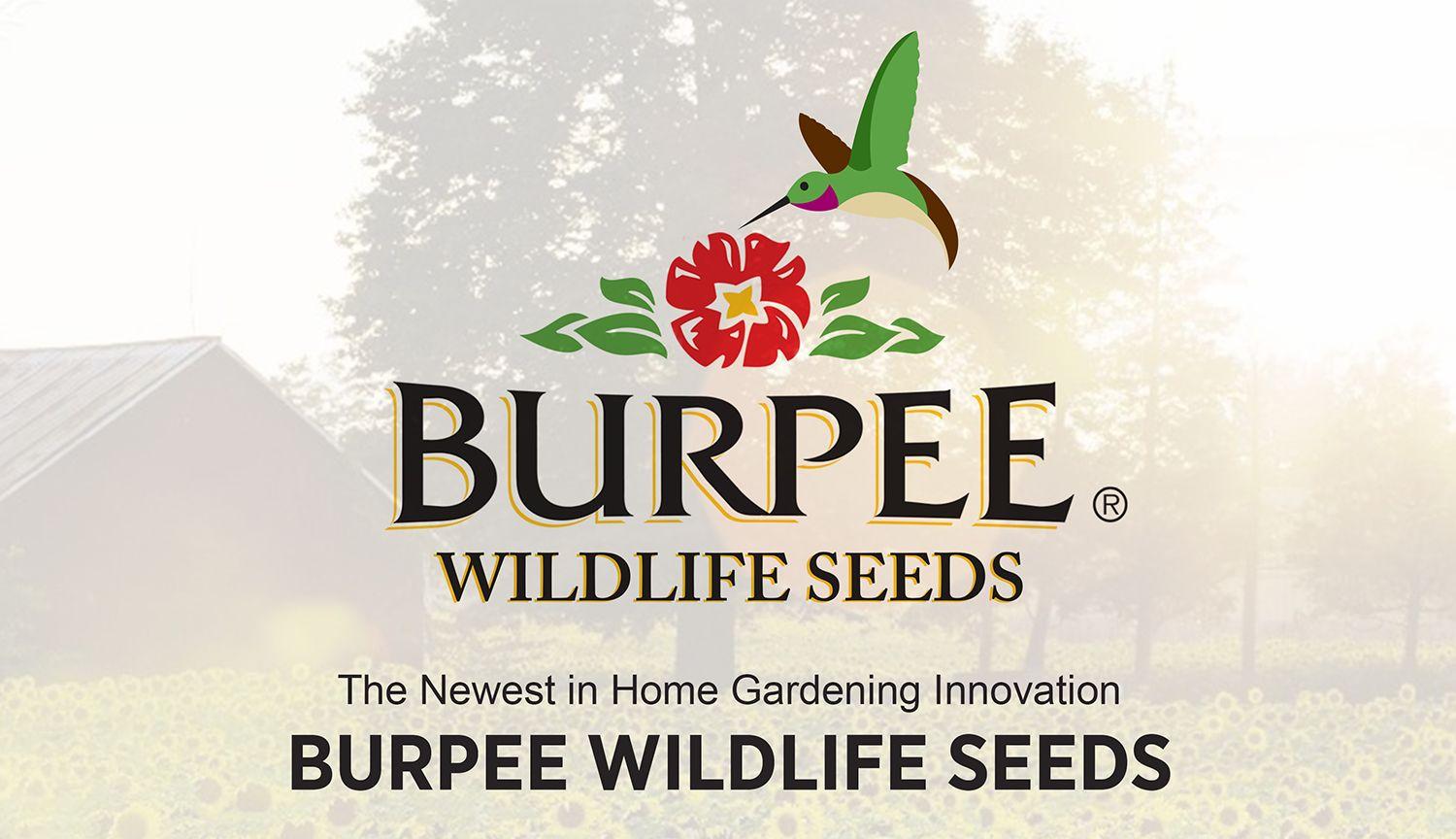 Burpee Logo - graphicdesign. Burpee Wildlife Seeds