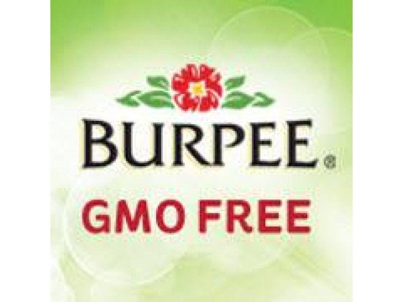 Burpee Logo - Burpee Seed Packs - Multiple Varieties Strange's Florists ...