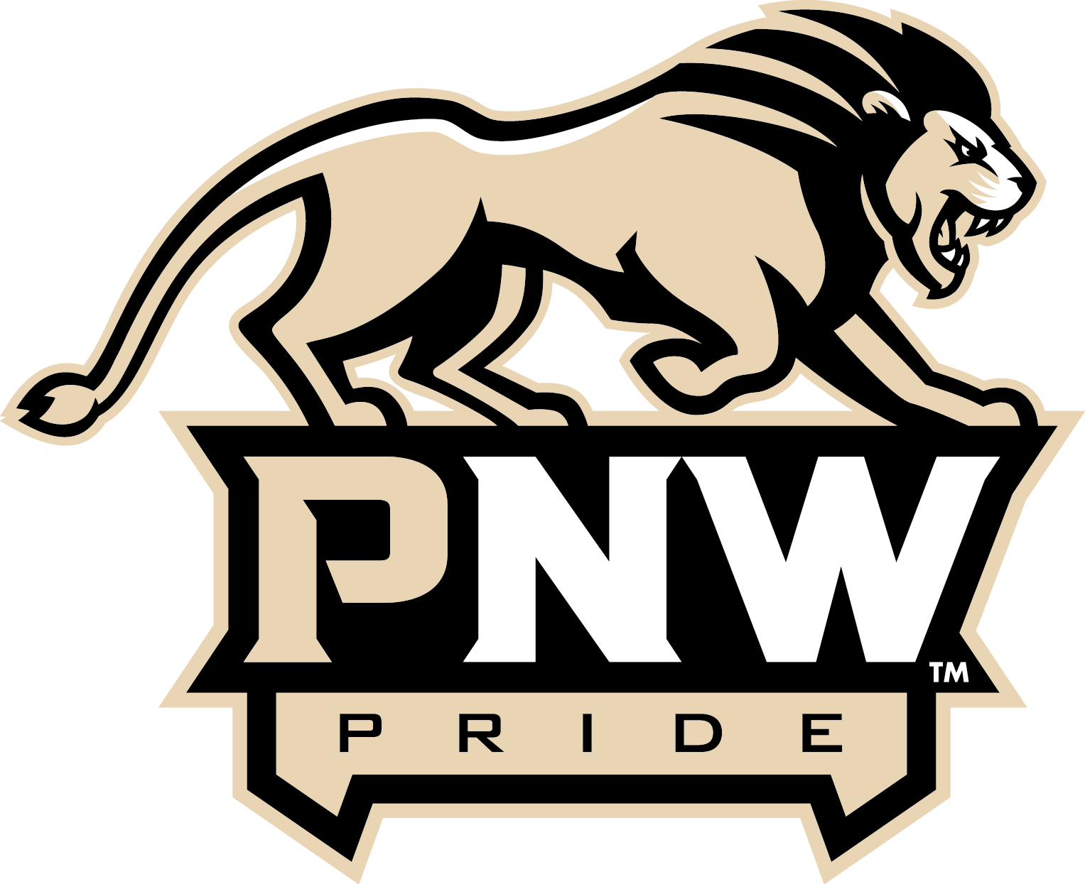 PNW Logo - Download Athletics Logos – Marketing & Communications