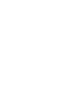 WH Logo - Sports Sponsorship / Partnerships in Sport / Maximising Investment / WHS