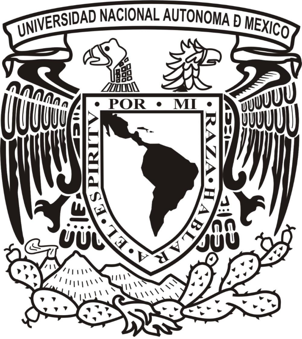 UNAM Logo - Programs > Brochure > The Center for International Education