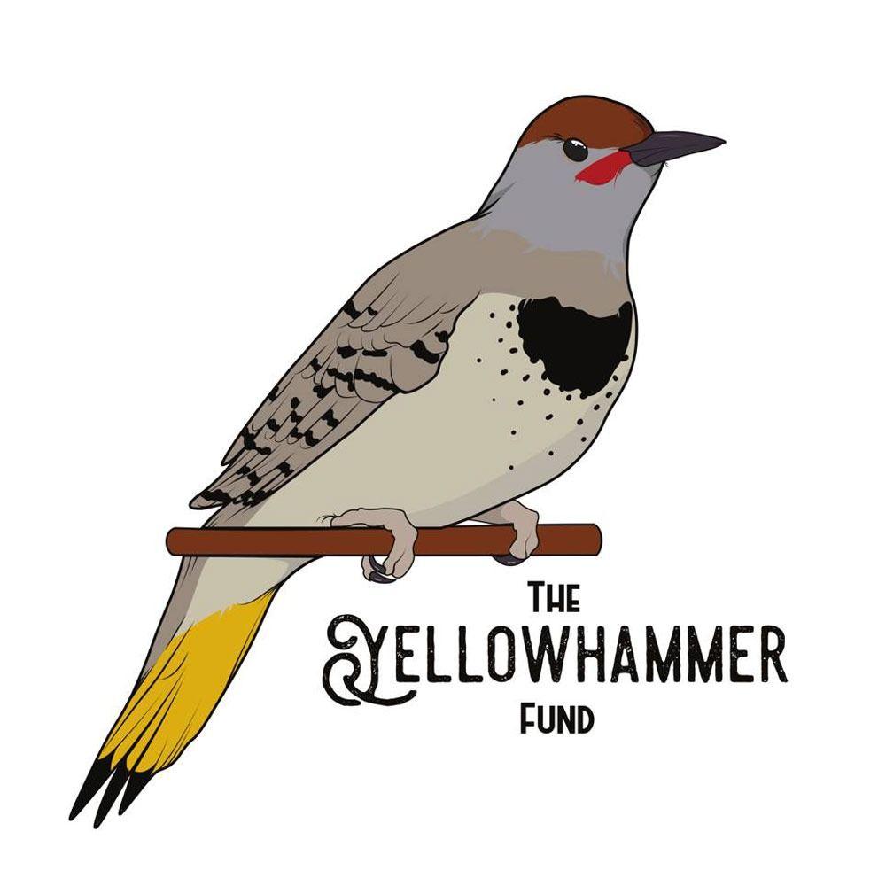 Yellowhammer Logo - Growing Pains for a Small Group with a Lot of Unexpected Money - Non ...