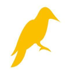 Yellowhammer Logo - Yellowhammer News on the App Store