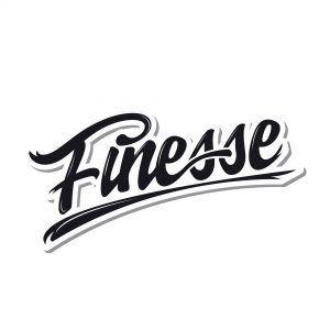 Finesse Logo - Finesse | Graphara Design