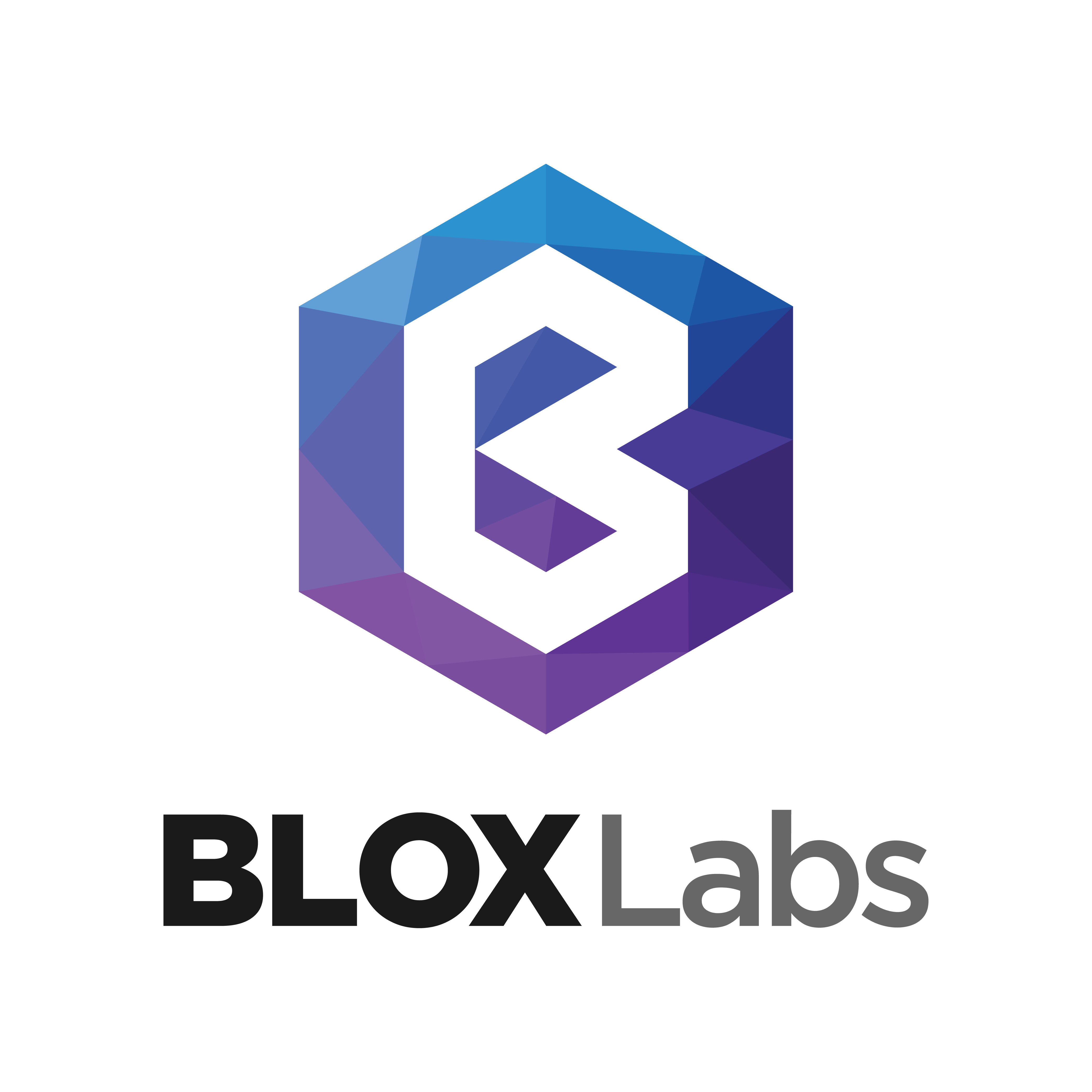 Blox Logo - Home - Blox Labs