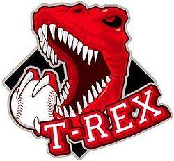 T-Rex Logo - Dmedia T REX