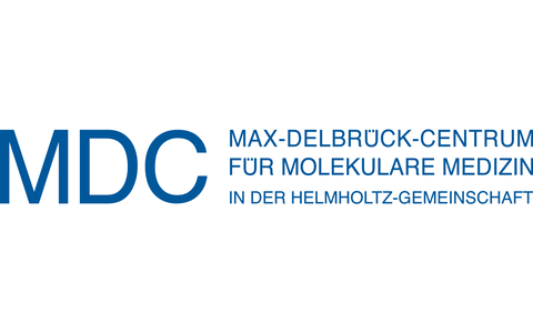 MDC Logo - MDC Corporate Design