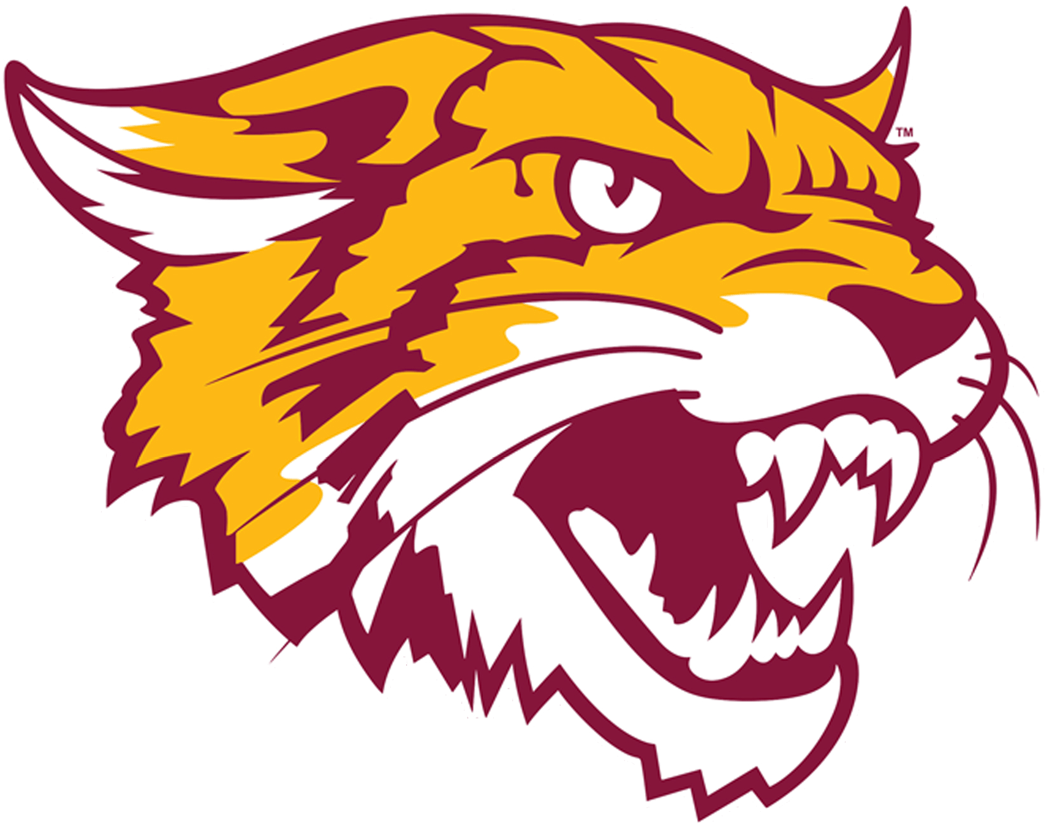 Bethune-Cookman Logo - Bethune-Cookman Wildcats Alternate Logo - NCAA Division I (a-c ...