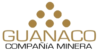 Guanaco Logo - Info Guanaco