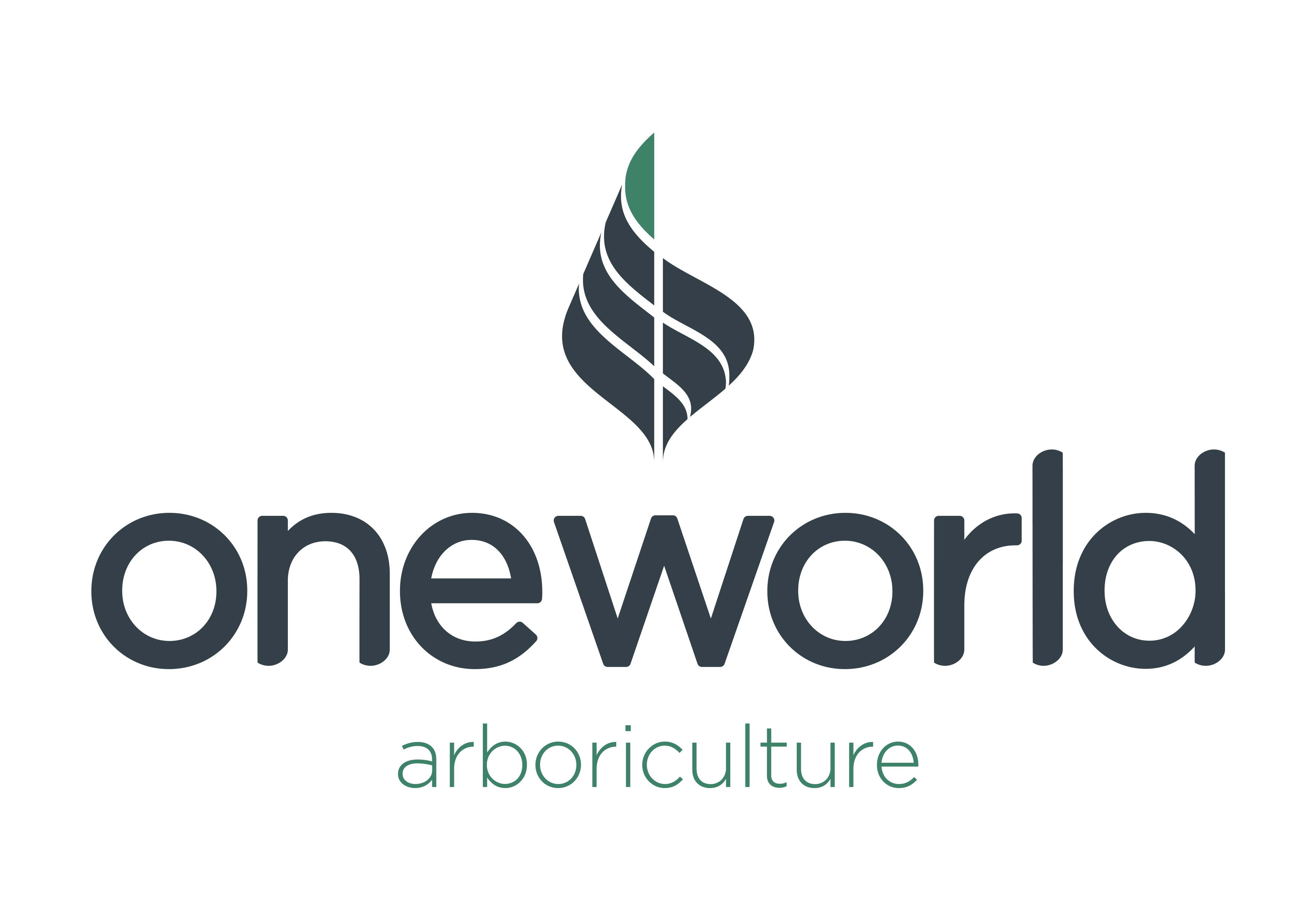 Oneworld Logo - OneWorld Logo HR300di