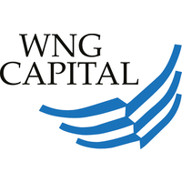 Wng Logo - WNG Capital LLC