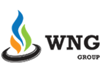 Wng Logo - WNG System & Solutions Pvt. Ltd