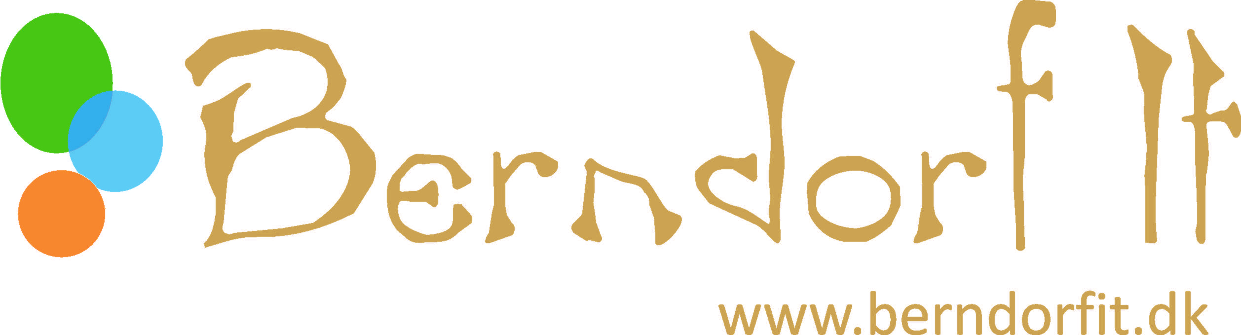 Berndorf Logo - Berndorf IT – Dynamic C5/XAL