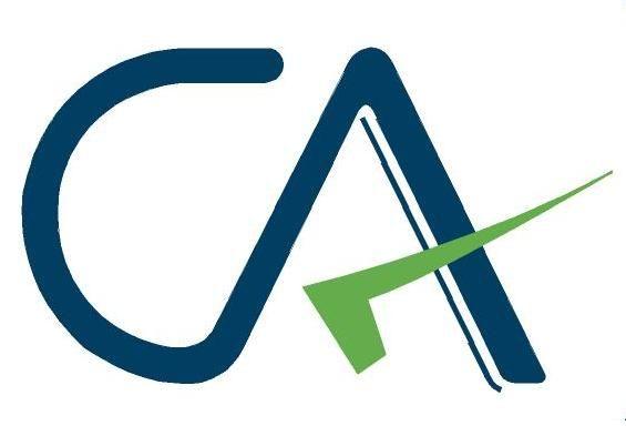 CAS Logo - Indian Chartered Accountants Get a New Logo