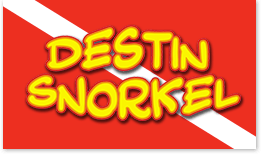 Snorkel Logo - Destin Snorkel Website, The Leader in Snorkeling