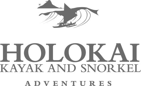 Snorkel Logo - Oahu Kayak Tours. Holokai Kayak & Snorkel Adventure
