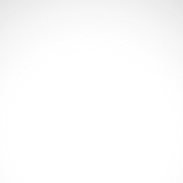 Nordica Logo - Simple color vinyl Nordica Logo | Stickers Factory